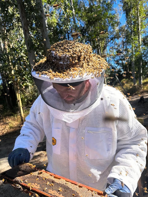 Tim Woller | Gentle Breeze Honey